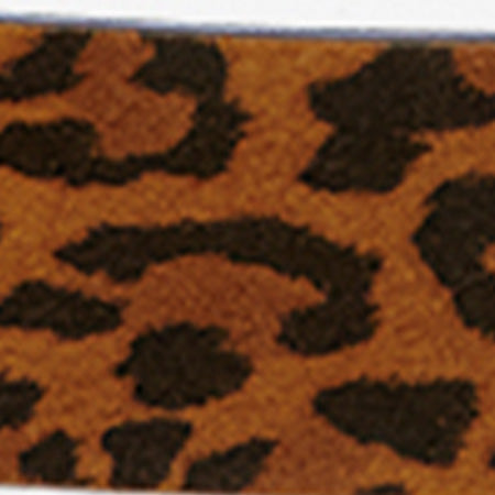 DARA BELT